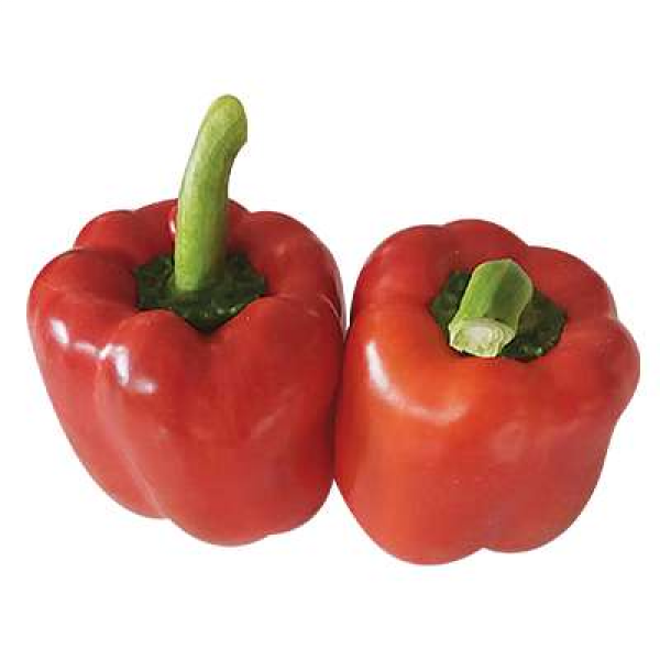 Red Capsicum +/-200g