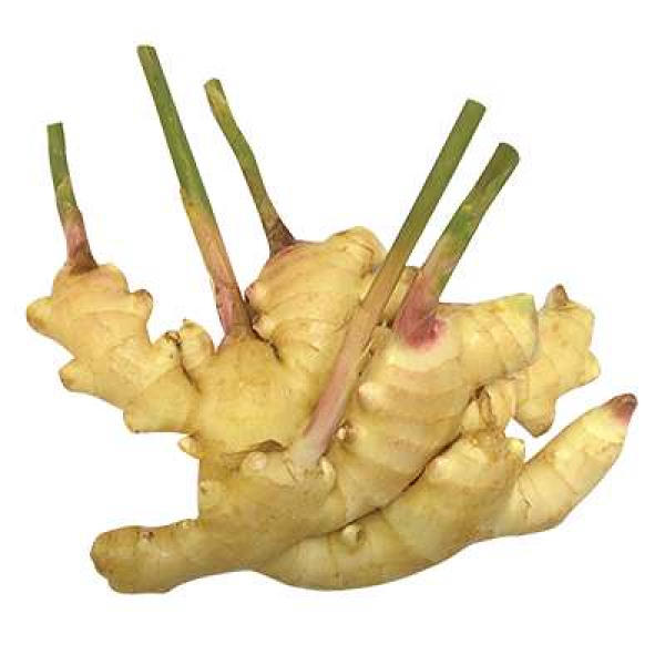 Young Ginger +/-200g
