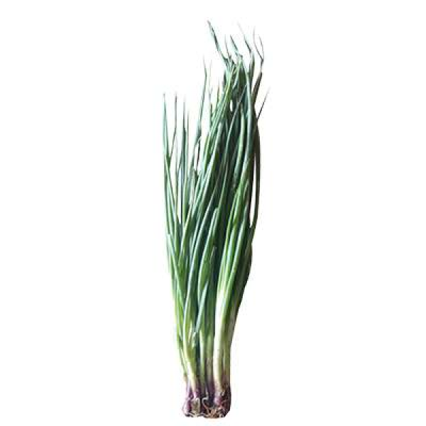 Spring Onion +/-100g