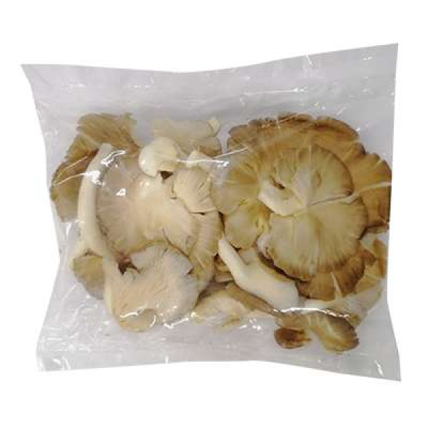Grey Oyster Mushroom