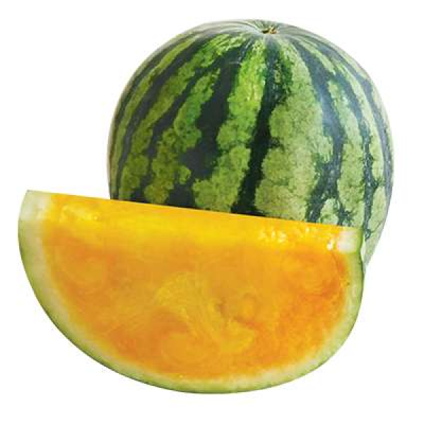 Yellow Watermelon +/-3kg Each