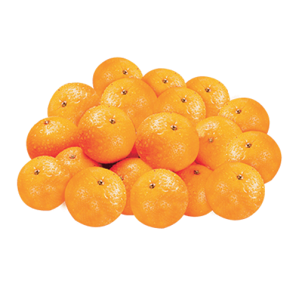Honey Murcott Mandarin KG