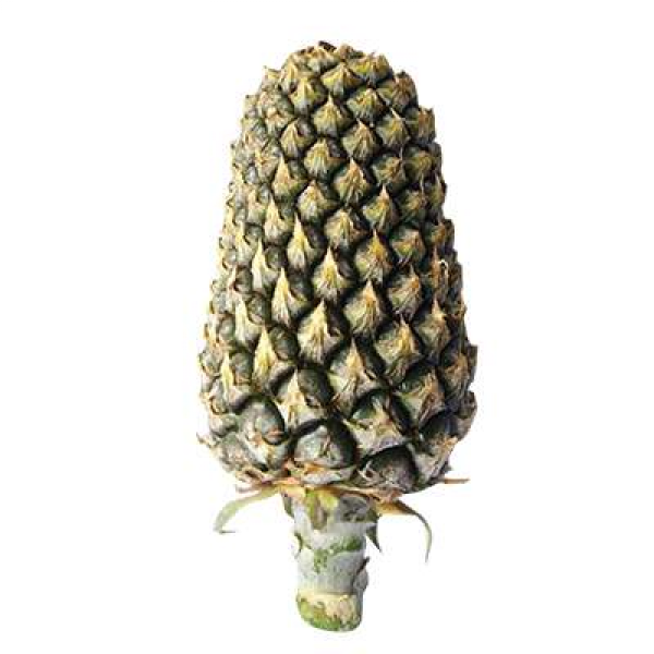 Morris Pineapple Each