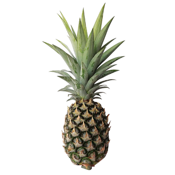 Sarawak Pineapple Each