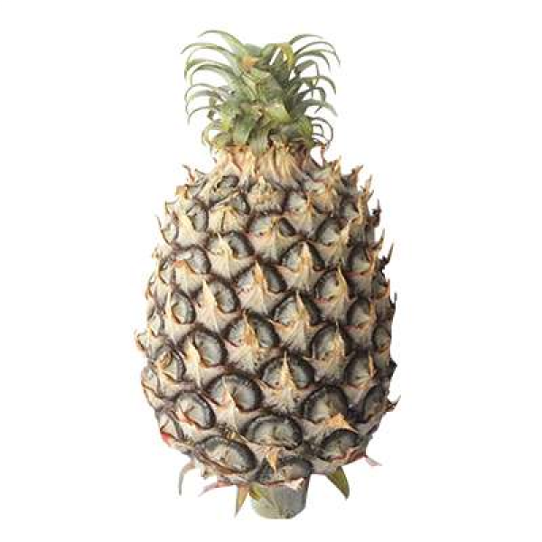 Josaphine Pineapple Each