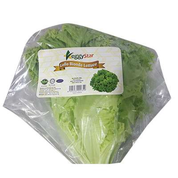 Veggystar Salad Lollo Bionda 120g