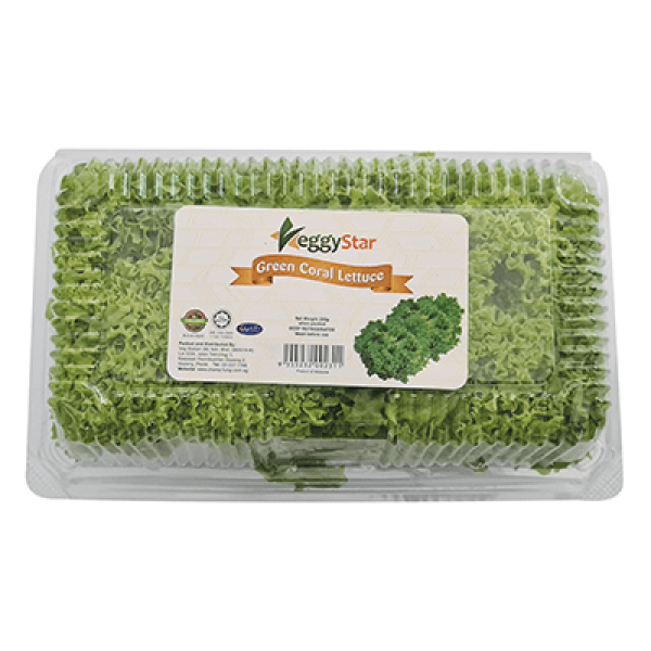 Veggystar Salad Green Coral 200g